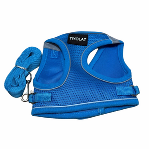 Blue Cat Harness and Leash Set. Pets